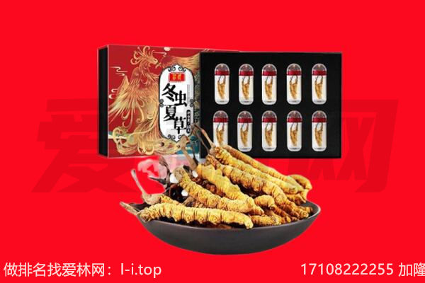 沙雅县回收虫草.jpg